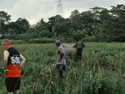 CHHH Run #2718